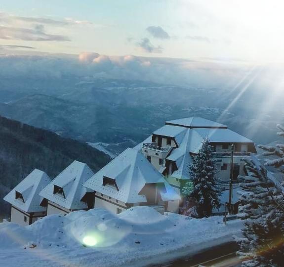 Dvori Apartments Kopaonik Exterior foto